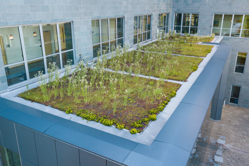 ​The Patrick T. Harker Interdisciplinary Science and Engineering (ISE) Laboratory hosts environmentally conscious qualities, including a green roof containing non-invasive, native and non-native species that can survive without irrigation in extreme wet and dry conditions.